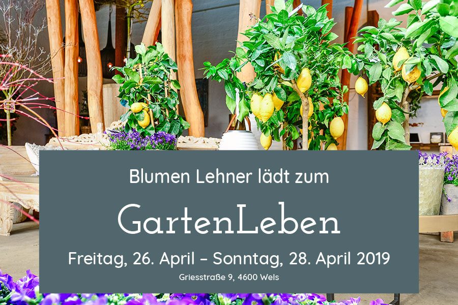 GartenLeben 2019